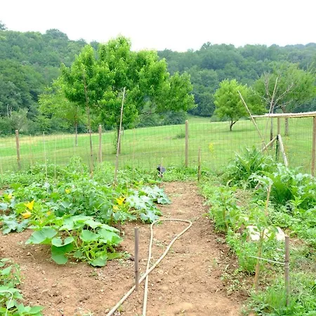 Domaine Du Champ De L'hoste