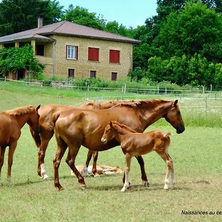 Domaine Du Champ De L'hoste