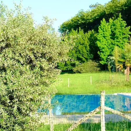 Domaine Du Champ De L'hoste
