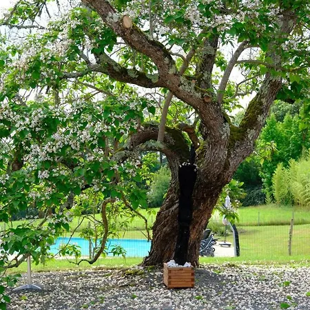 Domaine Du Champ De L'hoste Maison d'hôtes